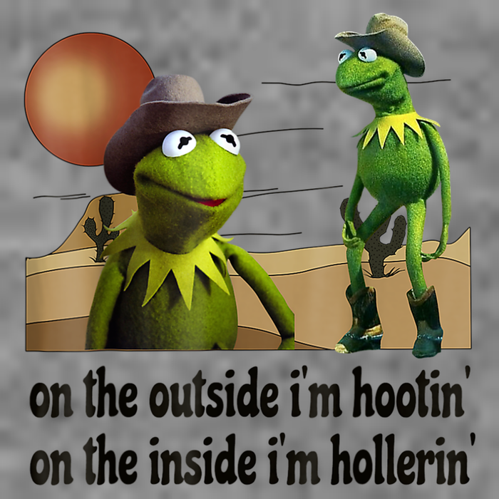 On The Outside I'm Hootin On The Inside I'm Hollerin Kids T-Shirt