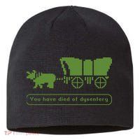 Oregon Trail T Shirt You Have Died Of Dysentery 8Bit Video Game 1865 Sustainable Beanie