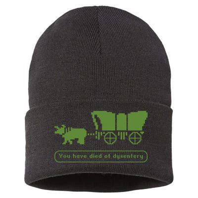 Oregon Trail T Shirt You Have Died Of Dysentery 8Bit Video Game 1865 Sustainable Knit Beanie