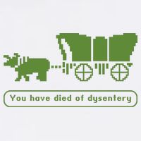 Oregon Trail T Shirt You Have Died Of Dysentery 8Bit Video Game 1865 Bucket Hat