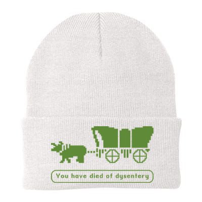 Oregon Trail T Shirt You Have Died Of Dysentery 8Bit Video Game 1865 Beanie