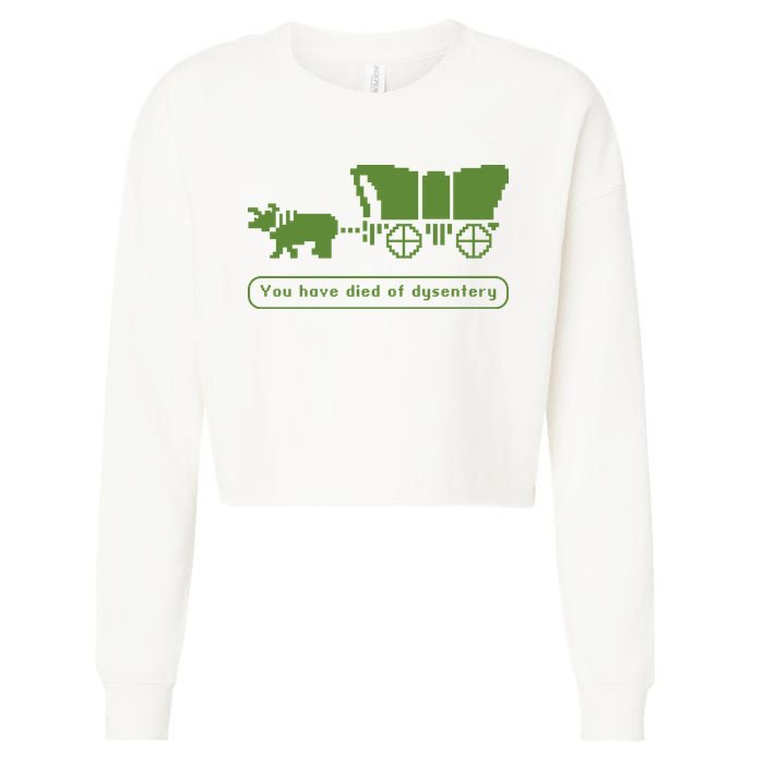Oregon Trail T Shirt You Have Died Of Dysentery 8Bit Video Game 1865 Cropped Pullover Crew
