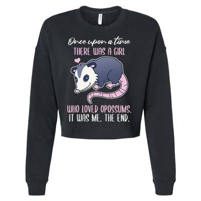 Once There Was A Who Loved Opossums Cropped Pullover Crew