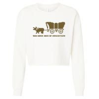 Oregon Trail You Have Died Of Dysentery Cropped Pullover Crew