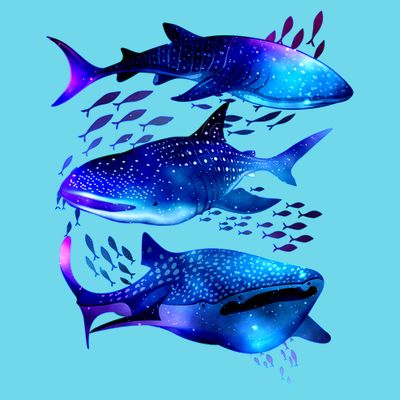 Outer Space Whale Sharks  T-Shirt
