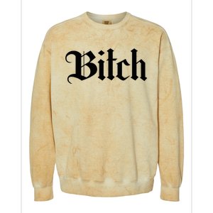 Offensive Vulgar Aesthetic Bitch Edgy E Girl E Boy Colorblast Crewneck Sweatshirt