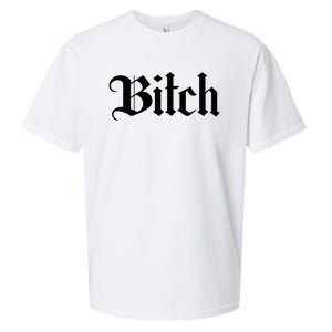 Offensive Vulgar Aesthetic Bitch Edgy E Girl E Boy Sueded Cloud Jersey T-Shirt