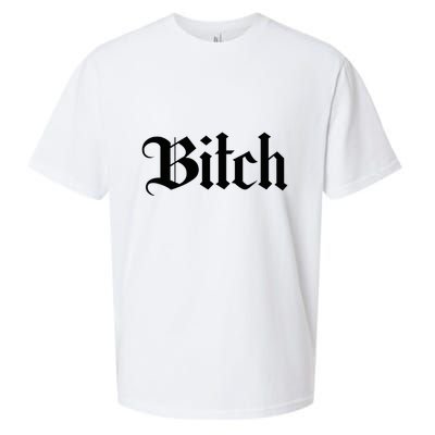 Offensive Vulgar Aesthetic Bitch Edgy E Girl E Boy Sueded Cloud Jersey T-Shirt