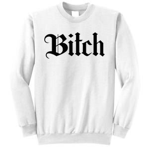 Offensive Vulgar Aesthetic Bitch Edgy E Girl E Boy Sweatshirt