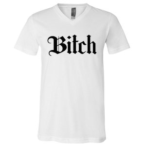 Offensive Vulgar Aesthetic Bitch Edgy E Girl E Boy V-Neck T-Shirt