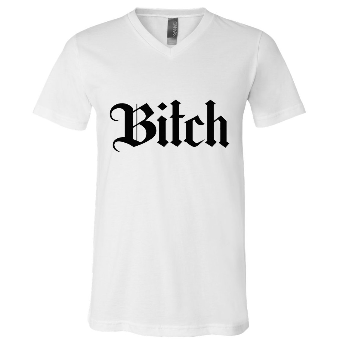 Offensive Vulgar Aesthetic Bitch Edgy E Girl E Boy V-Neck T-Shirt