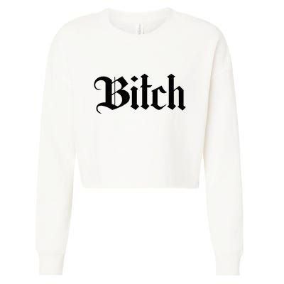 Offensive Vulgar Aesthetic Bitch Edgy E Girl E Boy Cropped Pullover Crew