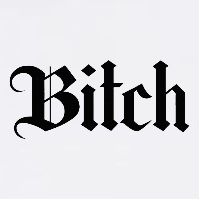 Offensive Vulgar Aesthetic Bitch Edgy E Girl E Boy Womens T-Shirt