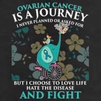 Ovarian Cancer Is A Journey Elephant Adult Drive Performance Visor