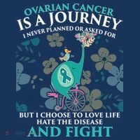 Ovarian Cancer Is A Journey Elephant T-Shirt