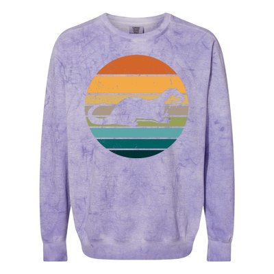 Otter Vintage Retro Logo Colorblast Crewneck Sweatshirt