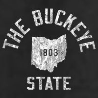 Ohio Vintage Sports Design The Buckeye State Beanie