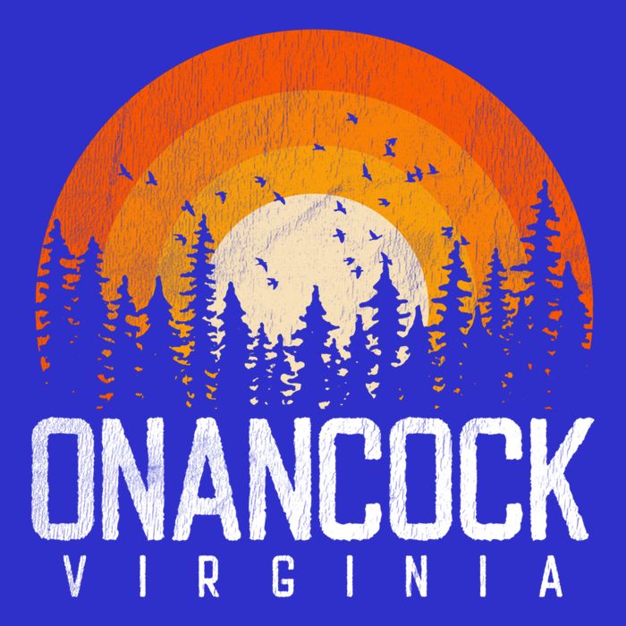Onancock Virginia Va Gift Vintage 70s 80s 90s Retro Gift Cute Gift Toddler T-Shirt