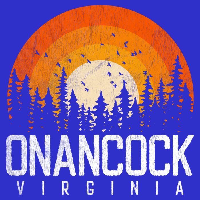 Onancock Virginia Va Gift Vintage 70s 80s 90s Retro Gift Button