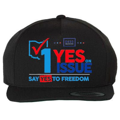 Ohio Vote YES in November on Issue 1 Wool Snapback Cap
