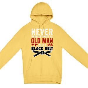 Old With A Black Belt Karate Martial Arts Gift Premium Pullover Hoodie