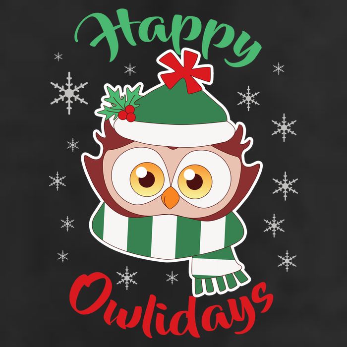 Owl Christmas Happy Owlidays Cool Comfort Performance Bucket Hat