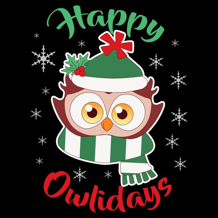 Owl Christmas Happy Owlidays Women's V-Neck T-Shirt