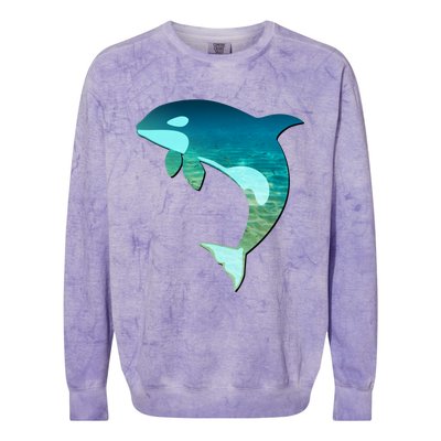 Orca Whale Lovers Silhouette Earth Day And Ocean Week Gift Colorblast Crewneck Sweatshirt