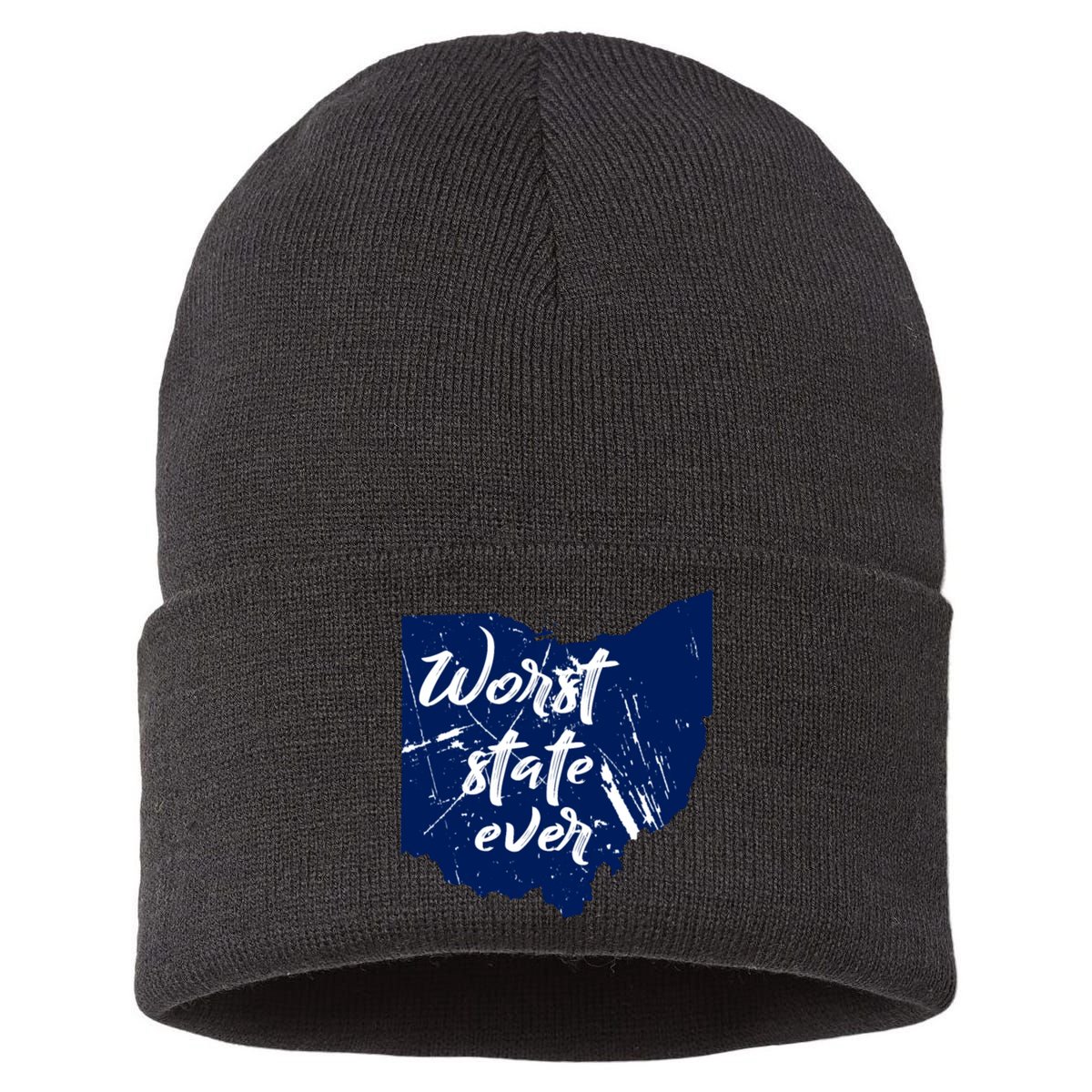 Ohio Worst State Ever Distressed Sustainable Knit Beanie