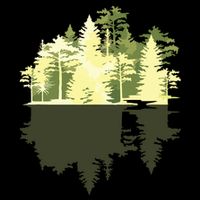 Outdoors Wildlife Trees Nature Reflection Forest City Backpack