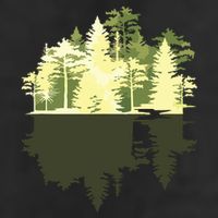 Outdoors Wildlife Trees Nature Reflection Forest 25L Jumbo Tote