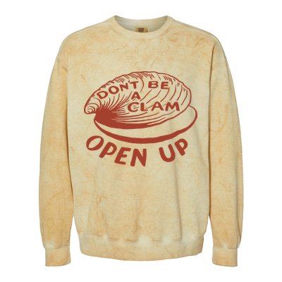 Olivia Wilde Wearing Don’t Be A Clam Open Up Colorblast Crewneck Sweatshirt