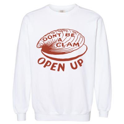 Olivia Wilde Wearing Don’t Be A Clam Open Up Garment-Dyed Sweatshirt