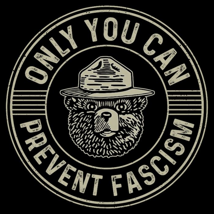 Only You Can Prevent Fascism Bear Activism Funny Political Poster
