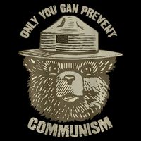 Only You Can Prevent Communism Camping Bear Button
