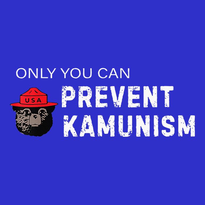 Only You Can Prevent Kamunism Communism Election Humor 2024 Sustainable Beanie