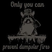 Only You Can Prevent Dumpster Fires Raccoon Meme 16oz Travel Tumbler