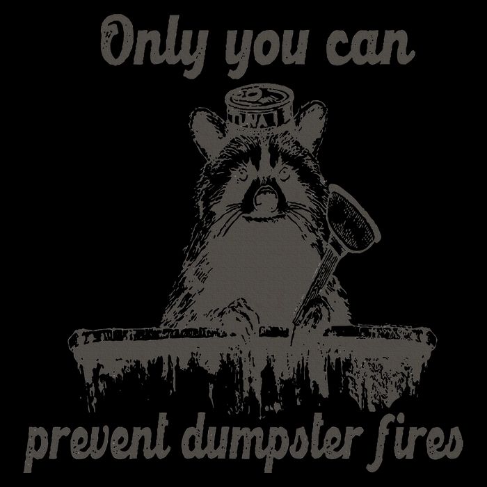 Only You Can Prevent Dumpster Fires Raccoon Meme 16oz Travel Tumbler
