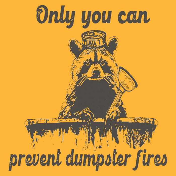 Only You Can Prevent Dumpster Fires Raccoon Meme Sustainable Knit Beanie