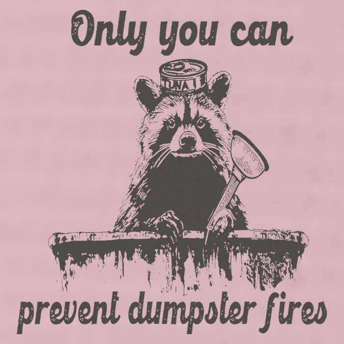 Only You Can Prevent Dumpster Fires Raccoon Meme 25L Jumbo Tote