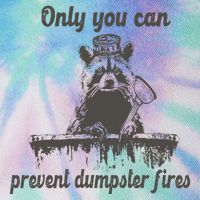 Only You Can Prevent Dumpster Fires Raccoon Meme Legacy Tie Dye Trucker Hat