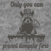 Only You Can Prevent Dumpster Fires Raccoon Meme Tall Sweatshirt