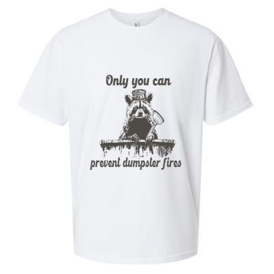 Only You Can Prevent Dumpster Fires Raccoon Meme Sueded Cloud Jersey T-Shirt