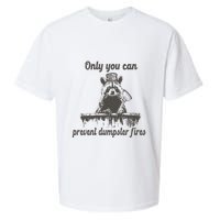 Only You Can Prevent Dumpster Fires Raccoon Meme Sueded Cloud Jersey T-Shirt
