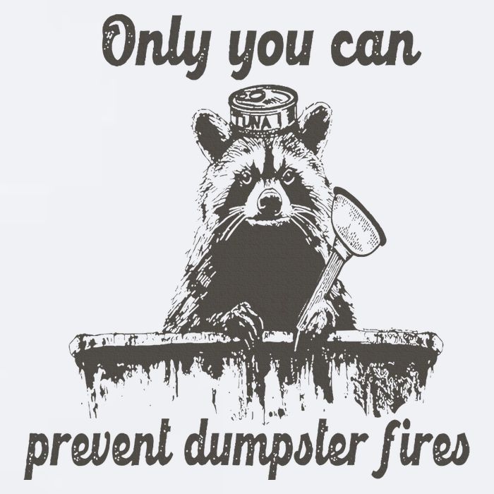 Only You Can Prevent Dumpster Fires Raccoon Meme Sueded Cloud Jersey T-Shirt