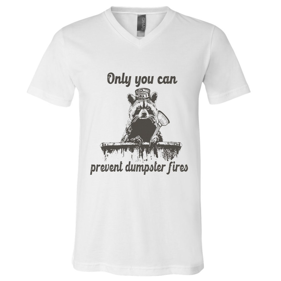 Only You Can Prevent Dumpster Fires Raccoon Meme V-Neck T-Shirt