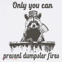 Only You Can Prevent Dumpster Fires Raccoon Meme Flatbill Hat