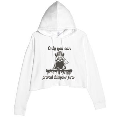 Only You Can Prevent Dumpster Fires Raccoon Meme Crop Fleece Hoodie