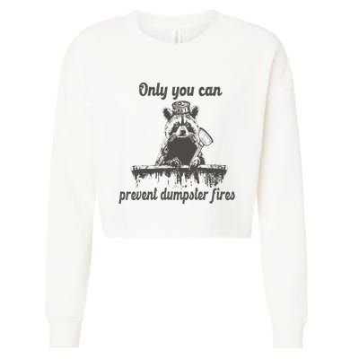 Only You Can Prevent Dumpster Fires Raccoon Meme Cropped Pullover Crew