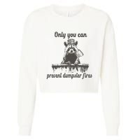 Only You Can Prevent Dumpster Fires Raccoon Meme Cropped Pullover Crew